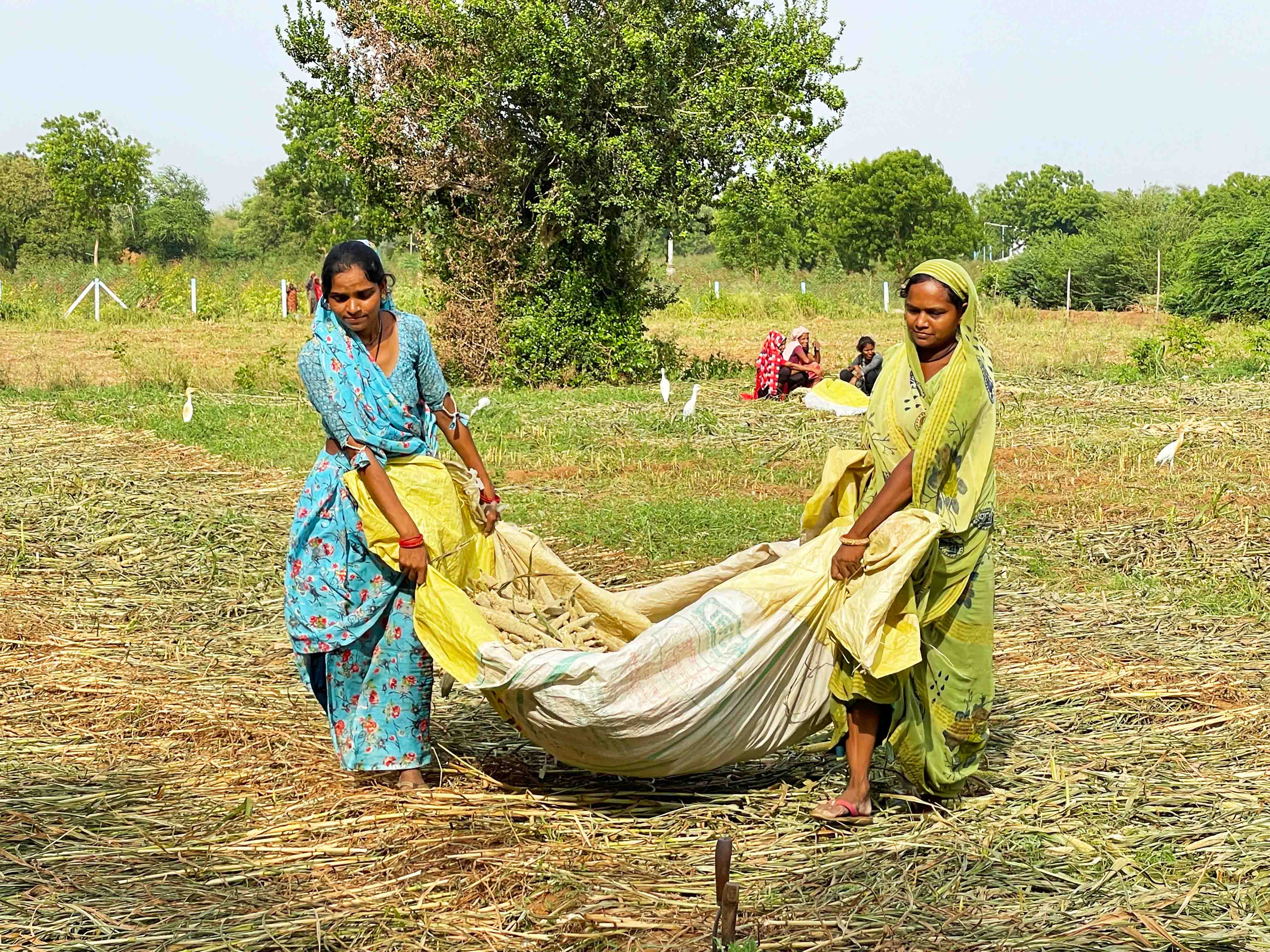howden-foundation-climate-resilience-for-all.jpg