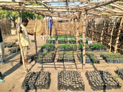 Malawi safe