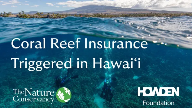 Split image showing Hualalai and divers working to reattach broken pieces of coral - 