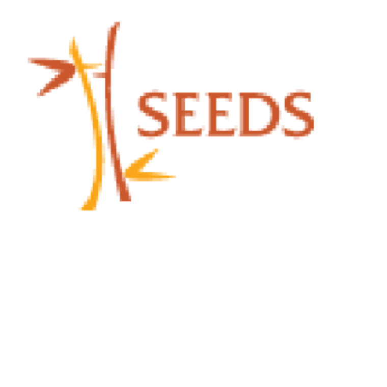Photo of SEEDS  ​​​